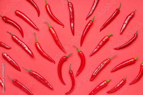 Hot chili pepper on color background