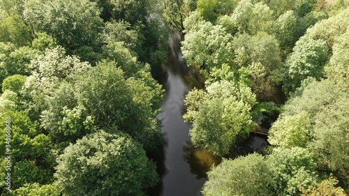 Aerial view of a lake surrounded by a beautiful forest . 