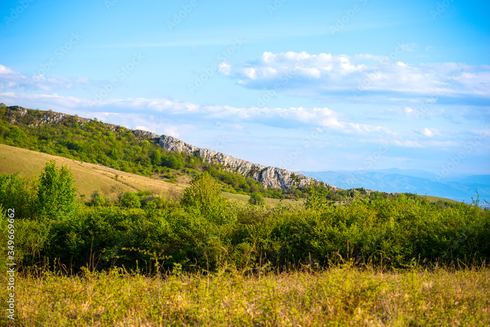 Naklejka premium Sunny day in the springtime