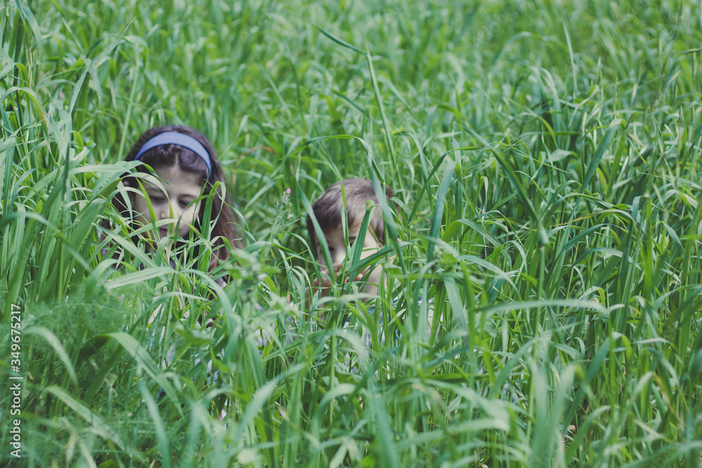 children among the green spring grass children among the green spring grass