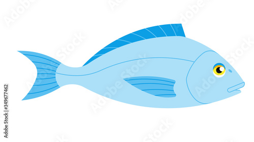 Dorado fish on a white background. Vector illustration of a sea creature.
