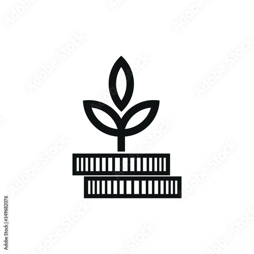 Money Coins for Business with leaf growth