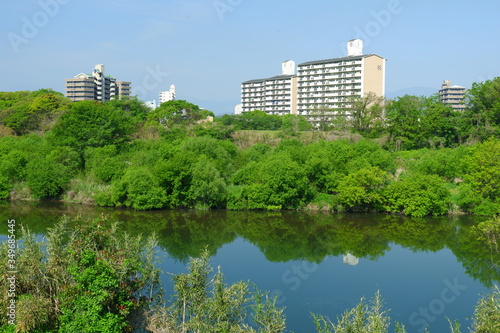 River landscape in early summer with beautiful greenery