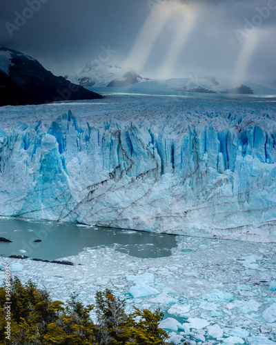 Ice wall of a glacier with some pieces of ice in the water in front of a forest. Perito Moreno Glacier in Argentina
