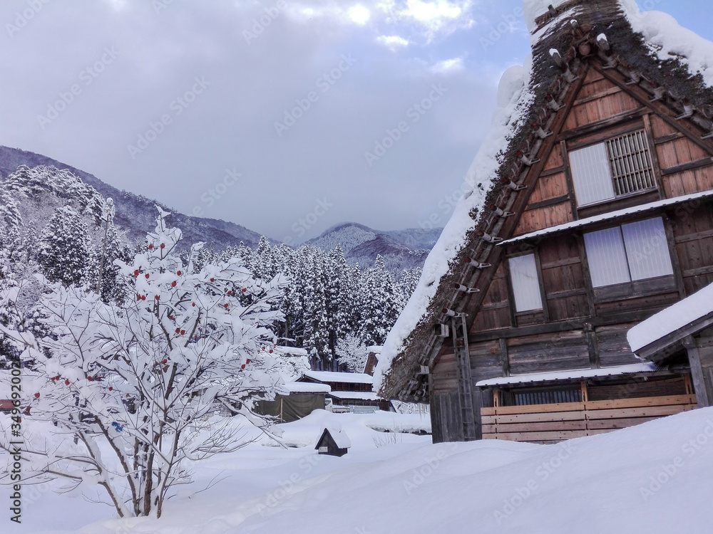 House and trees at Shiragawago ancient village in winter House and trees at Shiragawago ancient village in winter