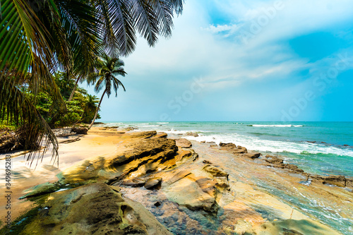 Fototapeta Naklejka Na Ścianę i Meble -  Wild beach with palm trees and rocks (Equatorial Guinea Beach - Africa) Tropical empty beach. 