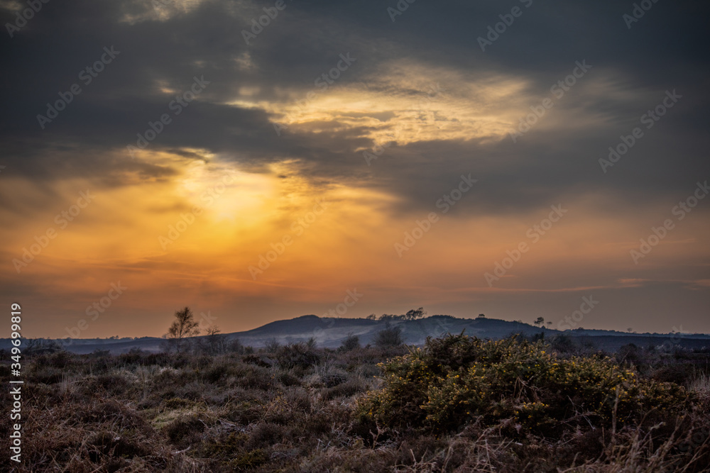 Beautiful sunset over heathland Beautiful sunset over heathland