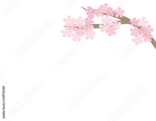桜の木フレーム 白バック
