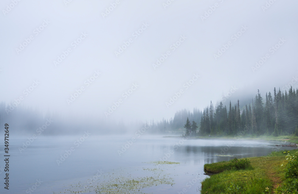 lake in the forest with a lot of fog. lake in the forest with a lot of fog.