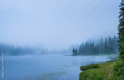 Fototapeta Naklejka Na Ścianę i Meble -  lake in the forest  with a lot of fog.