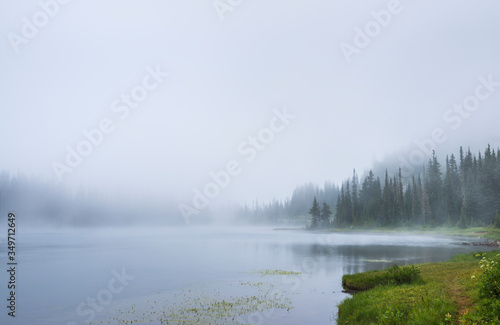 lake in the forest with a lot of fog.