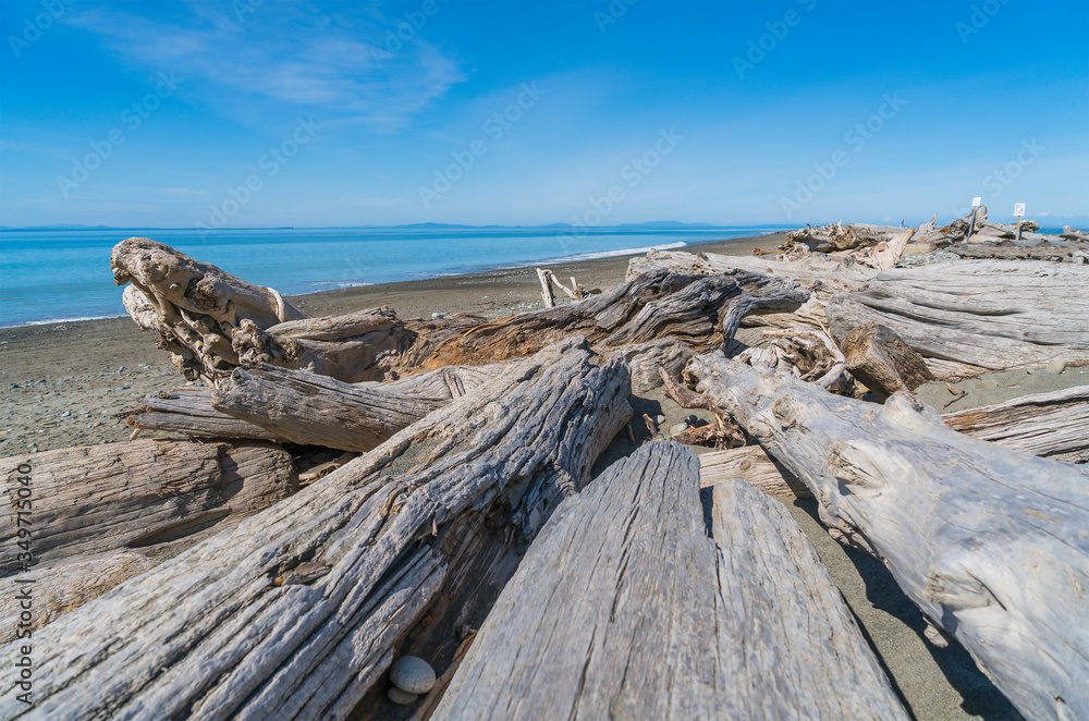 beach with mt Olympic background in Dungeness national wildlife refuge,Washington,usa.
beach with mt Olympic background in Dungeness national wildlife refuge,Washington,usa.