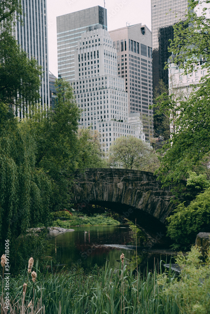 Bethesda Terrace Arch Bridge in Central Park, New York Cit…