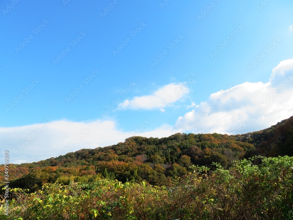 日本の田舎の風景　11月　黄葉　山の木々