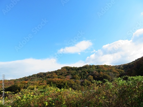 日本の田舎の風景 11月 黄葉 山の木々
