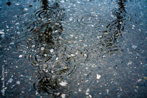 雨　水溜り　波紋 photo