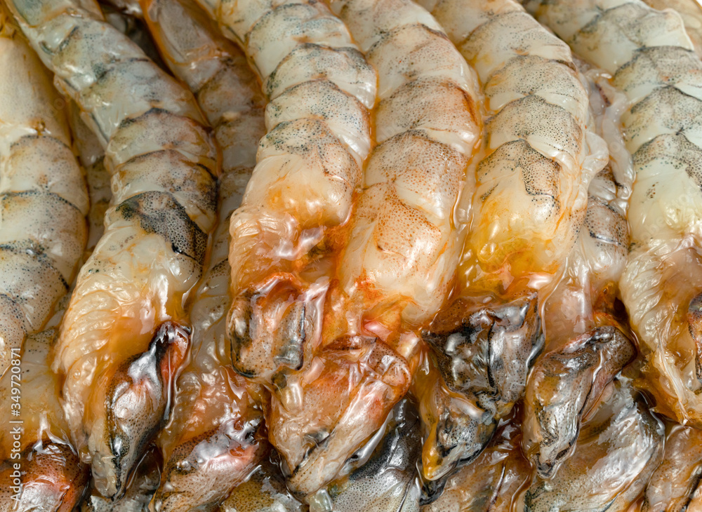 close up peeled shrimp raw isolated on white background