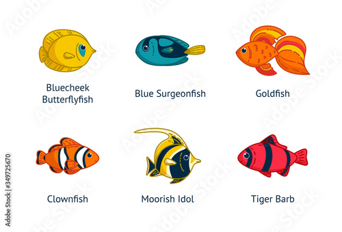 Set of six tropical fishes with their names. Clownfish, goldfish, butterflyfish an others. Vector illustration in cartoon style