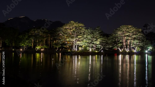 Timelapse shot of Korean Changgyeonggung Chundangji, Pond and forest at night time.  photo