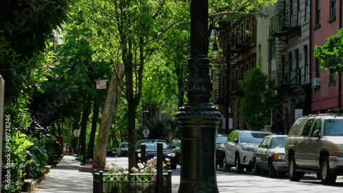 City sidewalk lined with trees, cars, and sunlight.