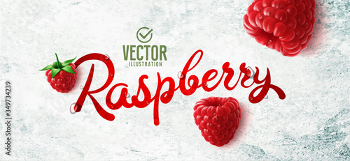 Vector realistic raspberry illustration on white stone background