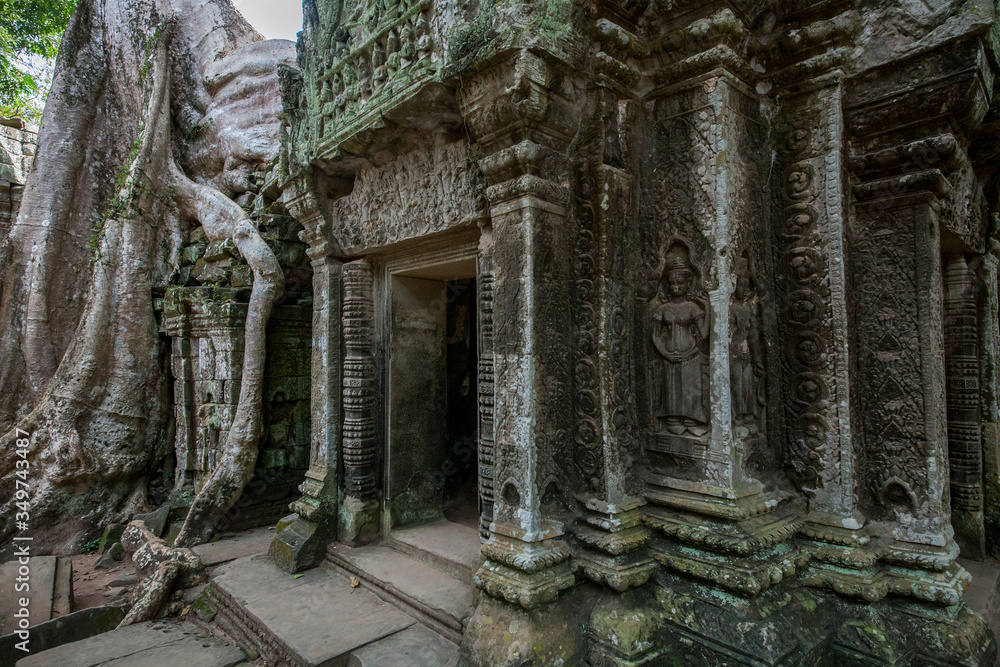 Angkor Wat ruins among the huge tree roots, Cambodia