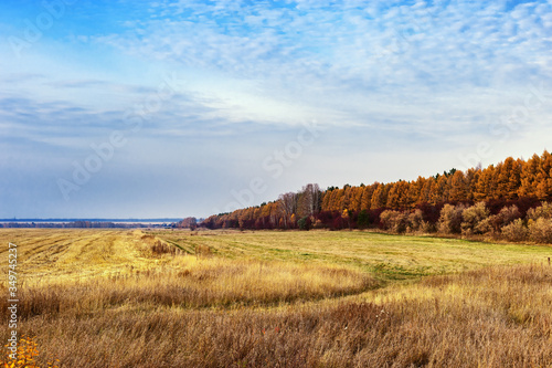 Agricultural fields after harvesting. Autumn rural landscape. Bright colors of autumn.