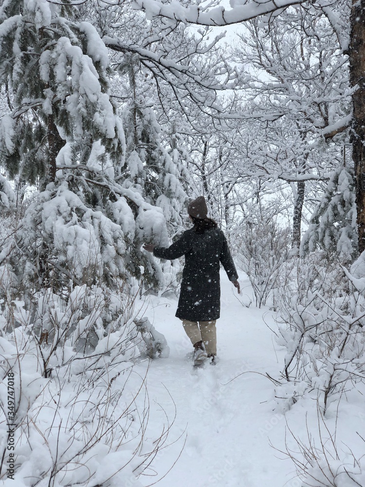 Girl walking in a fabulous winter forest. Snowing. Christmas mood. The branches of trees hardly with stand heavy piled snow. Girl walking in a fabulous winter forest. Snowing. Christmas mood. The branches of trees hardly with stand heavy piled snow.