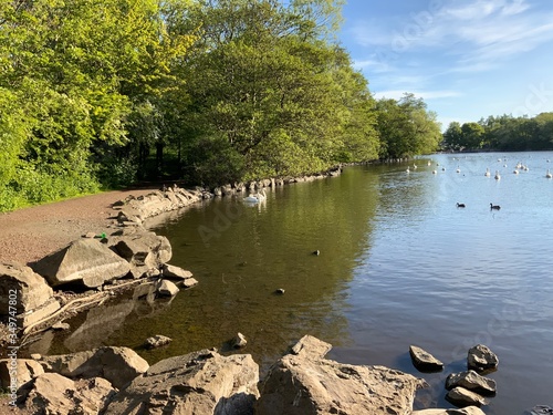 lake in the forest