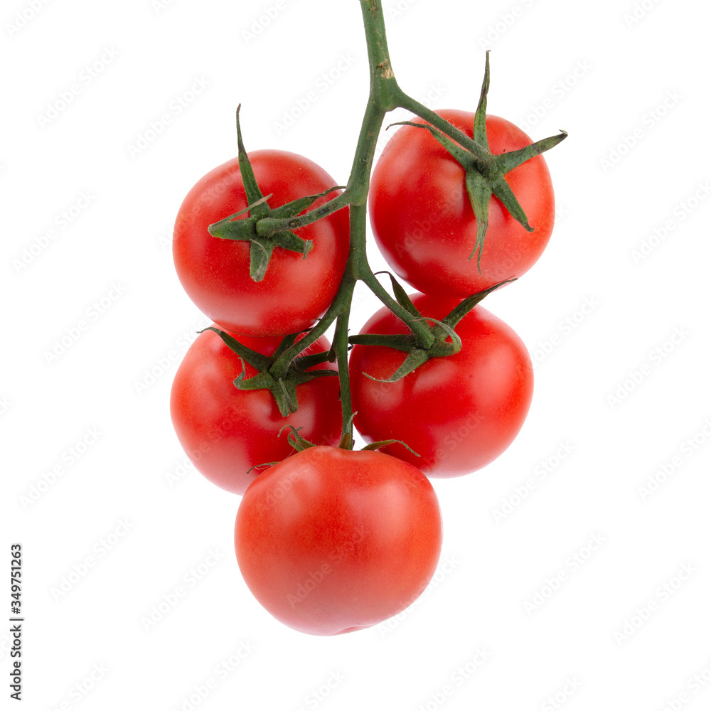 ripe tomatoes on the vine, white insulated background ripe tomatoes on the vine, white insulated background