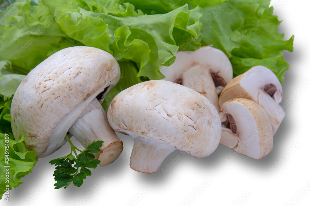 Fototapeta premium fresh mushrooms champignon on a green lettuce leaf, white isolated background