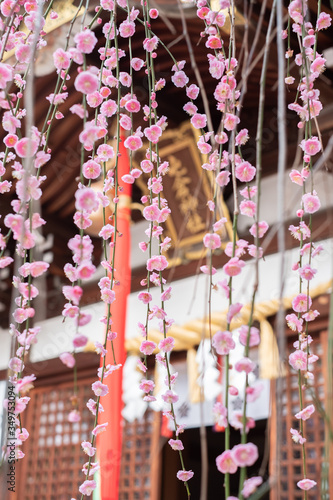 Miyake Shrine with Plum in Osaka, Japan