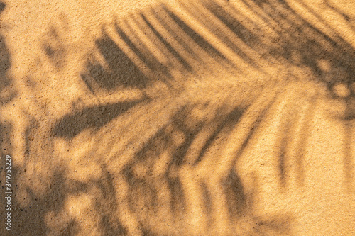Fototapeta Naklejka Na Ścianę i Meble -  shadows palm leaf on beach texture background