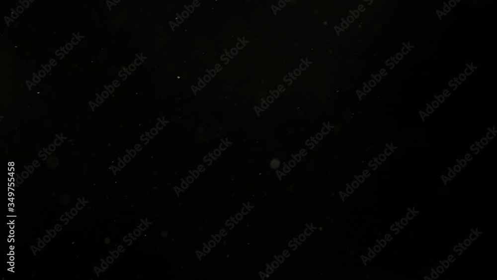 dust particles floating and a green light leak flashing on a black dust particles floating and a green light leak flashing on a black