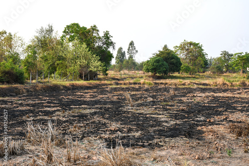 After harvesting season farmer are burning rice field cause of PM 10 , PM 2.5 Dust and environmental pollution.