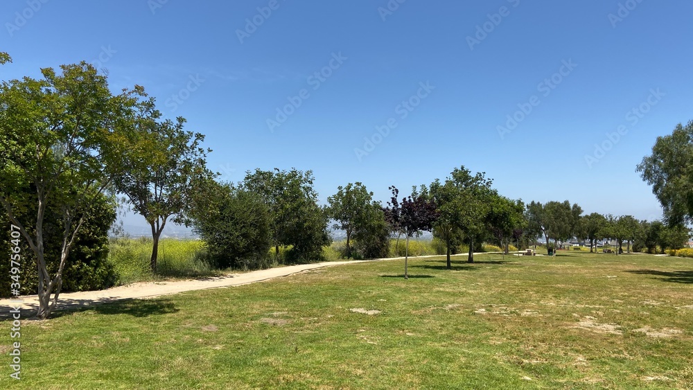 Naklejka premium path in the park