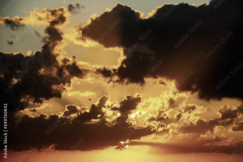 Fototapeta premium the clouds in the cloudy sky