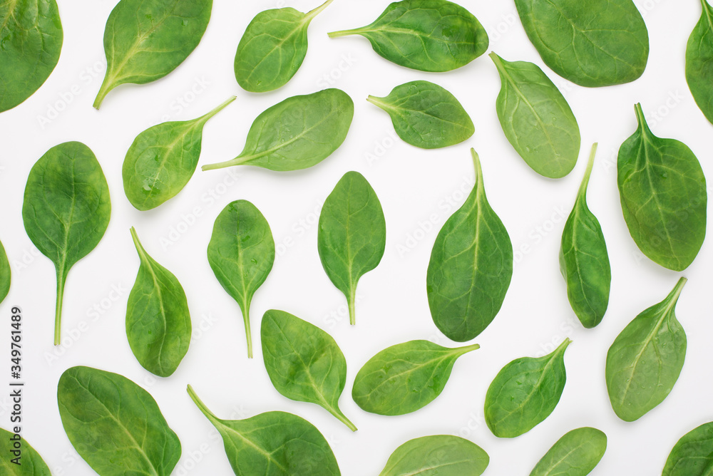 Top above overhead view photo of baby spinach lying in circles isolated on white background Top above overhead view photo of baby spinach lying in circles isolated on white background
