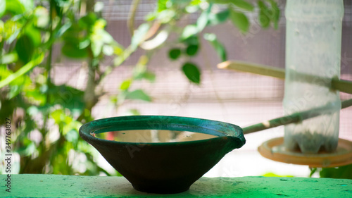 water in clay pot for birds in hot summer