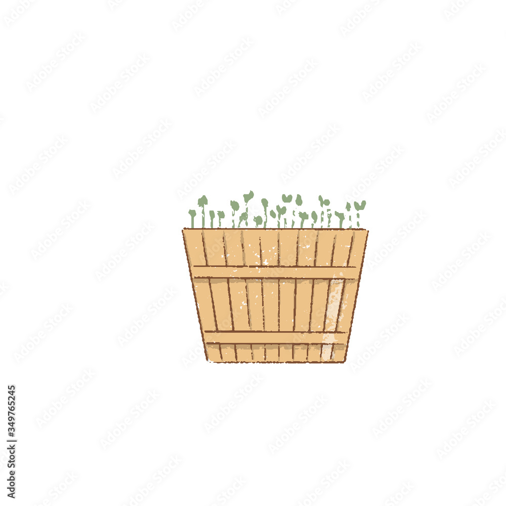 Decorative grass,, garden plants in flowerpot, basket. Blue spotted watering can isolated on white. Decorative grass,, garden plants in flowerpot, basket. Blue spotted watering can isolated on white.