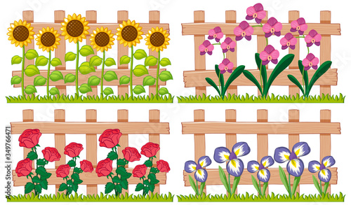 Different types of flowers in the garden