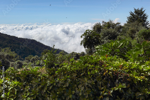 view on cloud forest in San Gerardo de Dota, Costa Rica, Central America photo