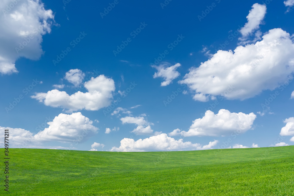 green grass and blue sky