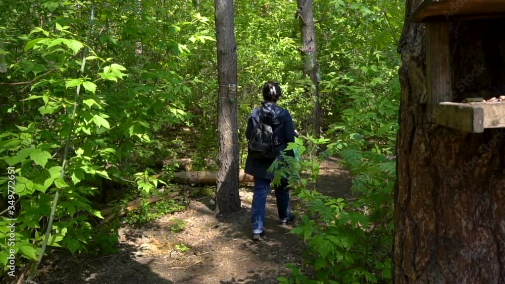 A woman walks along a path in the forest. Green leaves. Pine trunks. A dove flies in the bushes. Slow motion. A woman walks along a path in the forest. Green leaves. Pine trunks. A dove flies in the bushes. Slow motion.