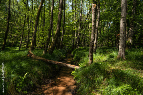 Nordpf  lzerwald Hochfelsweg