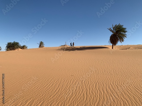 sand dunes of sahara