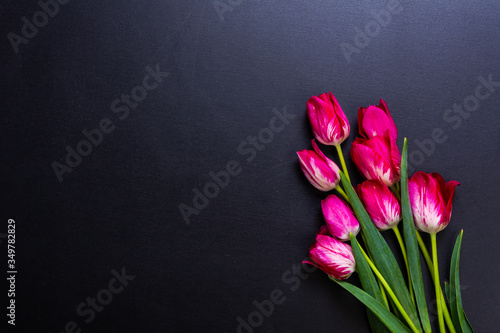 Graphite background with pink tulips photo