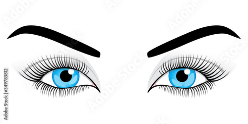 Woman's blue eyes on a white background. Vector illustration.