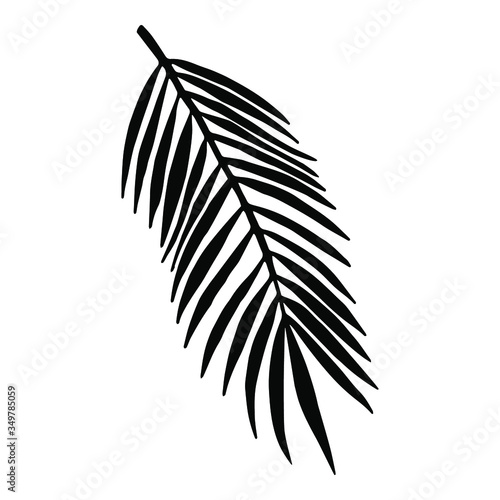 Doodle palm leaf. Hand drawn illustration for cards, posters, banners, patterns, textile and other design. Minimalistic stile.