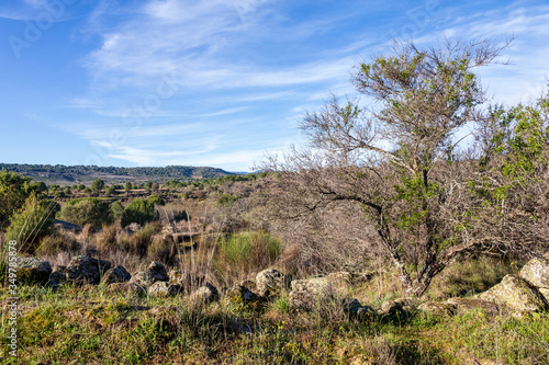 Sierra de Gredos y campos de cultivo desde el cerro de la Zorra en Cebreros. Avila. España. Europa.